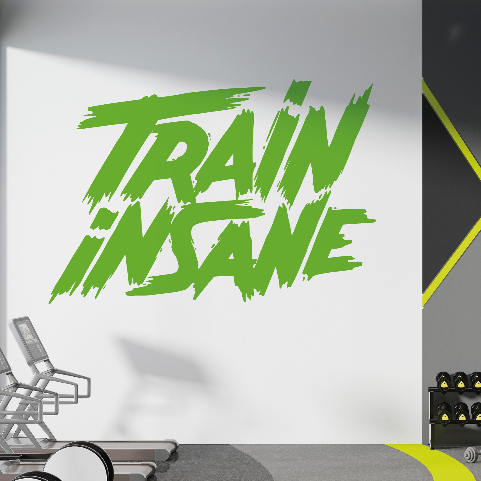 Train Insane - Gym Motivational Vinyl Wall Sticker UK