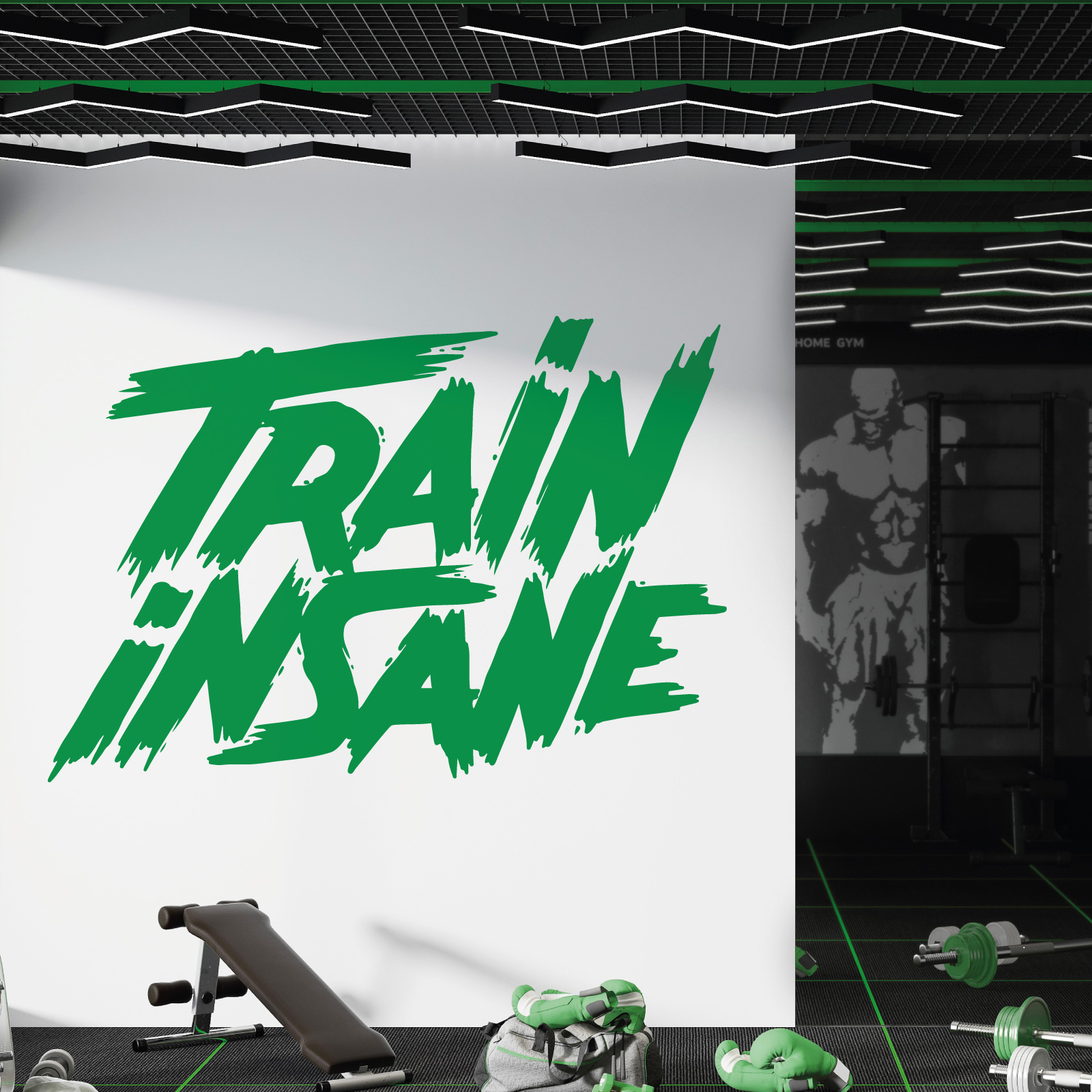 Train Insane - Gym Motivational Vinyl Wall Sticker UK