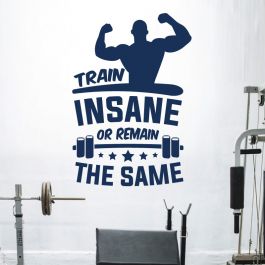 Train Insane Gym Fitness Wall Sticker Workout Motivation Quote Wall Art Decal