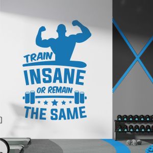 Train Insane or Remain the Same - Gym Motivational Vinyl Wall Sticker UK