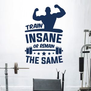 Train Insane or Remain the Same - Motivational Gym Decal Wall Sticker