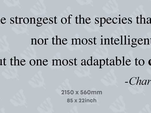 Darwin quote, office lettering — Quote wall
