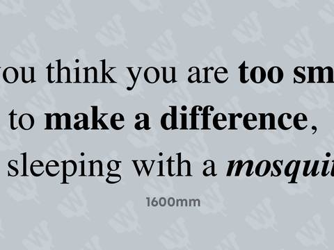 “Too small to make a difference” — Quote wall